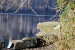 stausee_dobra_stein_baum