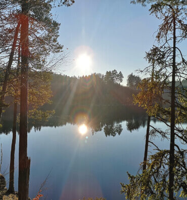 Wandern entlang des Stausees Ottenstein